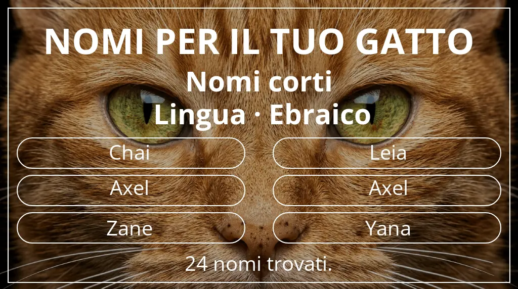 Nomi felini legati a lunghezza del nome breve (2–4) e lingua ebraico