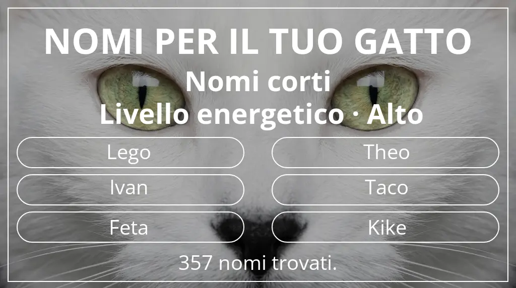Nomi per il tuo gatto legati a lunghezza del nome breve (2–4) e livello energetico alto