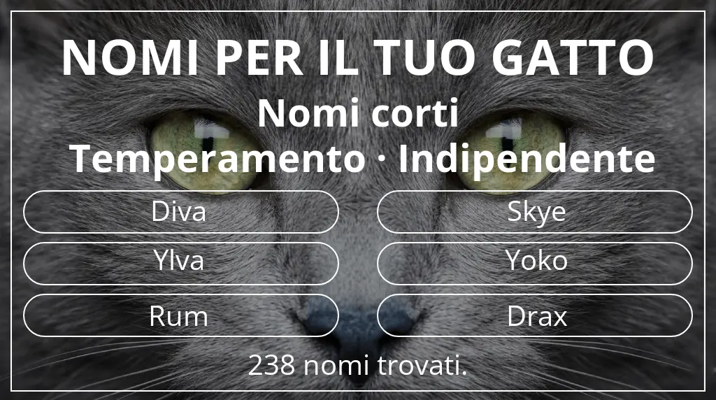 Nomi per gatti ispirati a lunghezza del nome breve (2–4) e temperamento indipendente