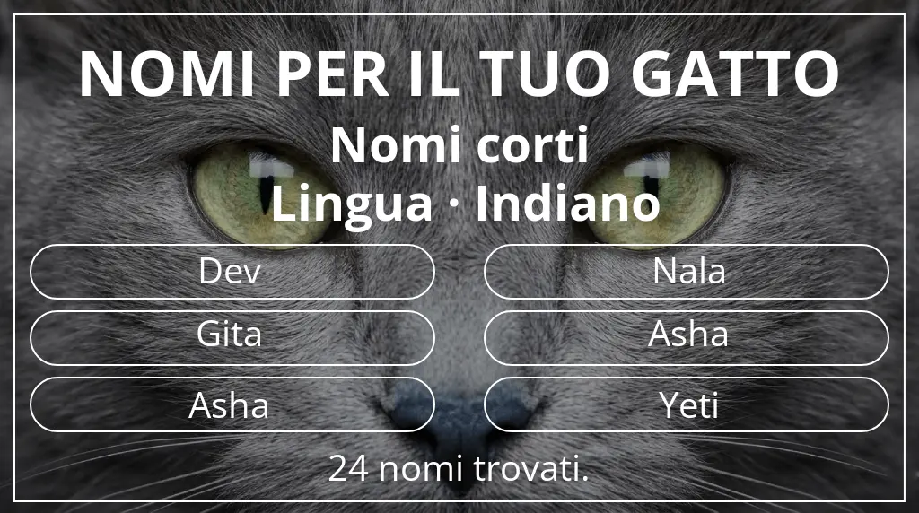 Nomi per gatti ispirati a lunghezza del nome breve (2–4) e lingua indiano