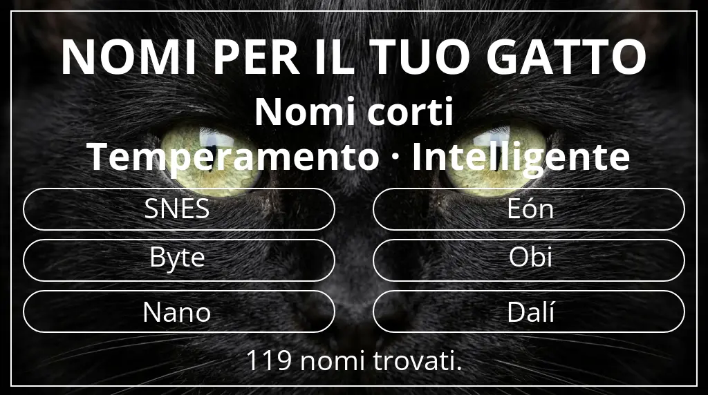Nomi per gatti ispirati a lunghezza del nome breve (2–4) e temperamento intelligente