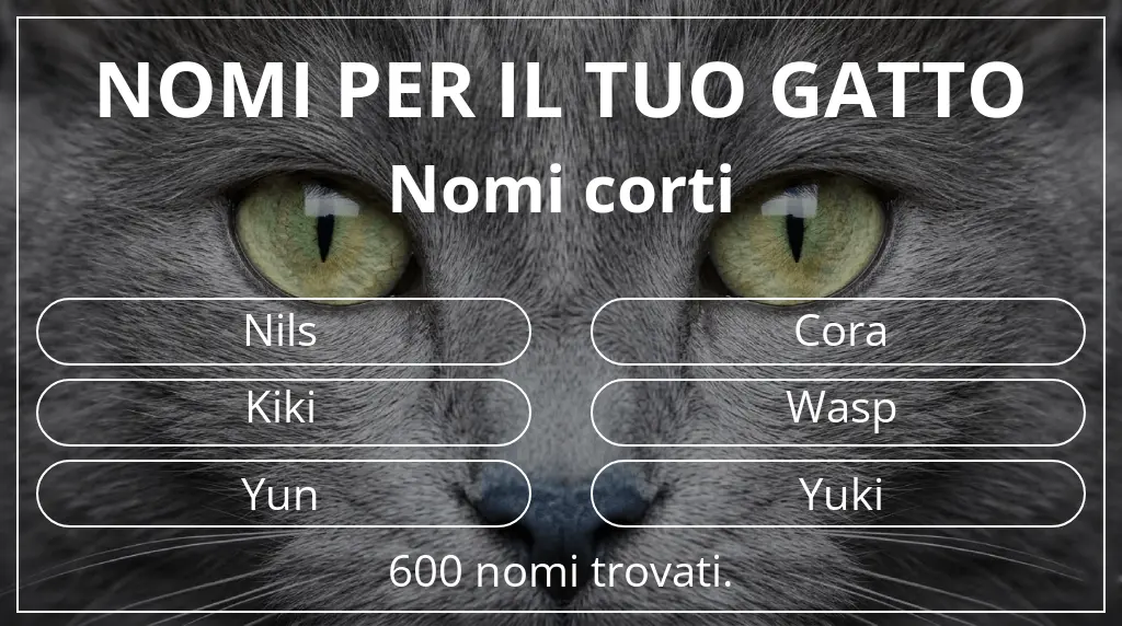 Nomi per il tuo gatto ispirati a lunghezza del nome breve (2–4)