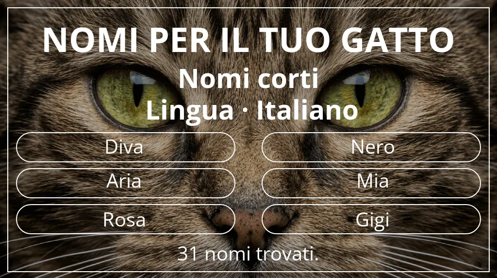Nomi per gatti basati su lunghezza del nome breve (2–4) e lingua italiano