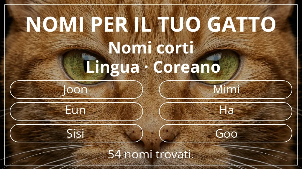 Nomi felini ispirati a lunghezza del nome breve (2–4) e lingua coreano