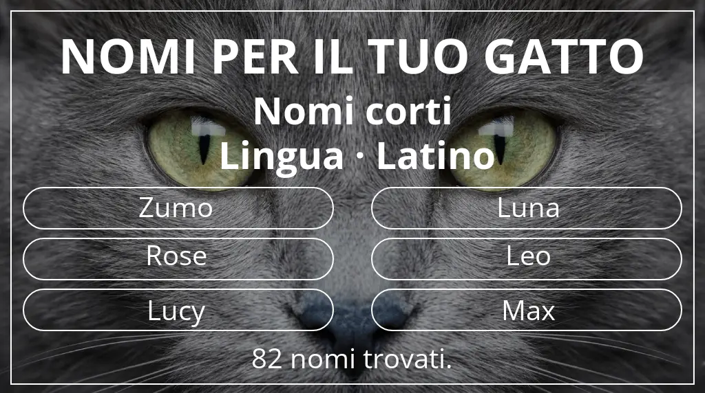 Nomi per il tuo gatto ispirati a lunghezza del nome breve (2–4) e lingua latino