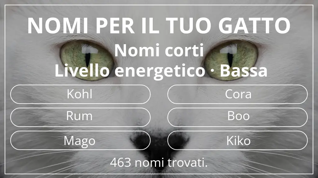 Nomi felini basati su lunghezza del nome breve (2–4) e livello energetico bassa