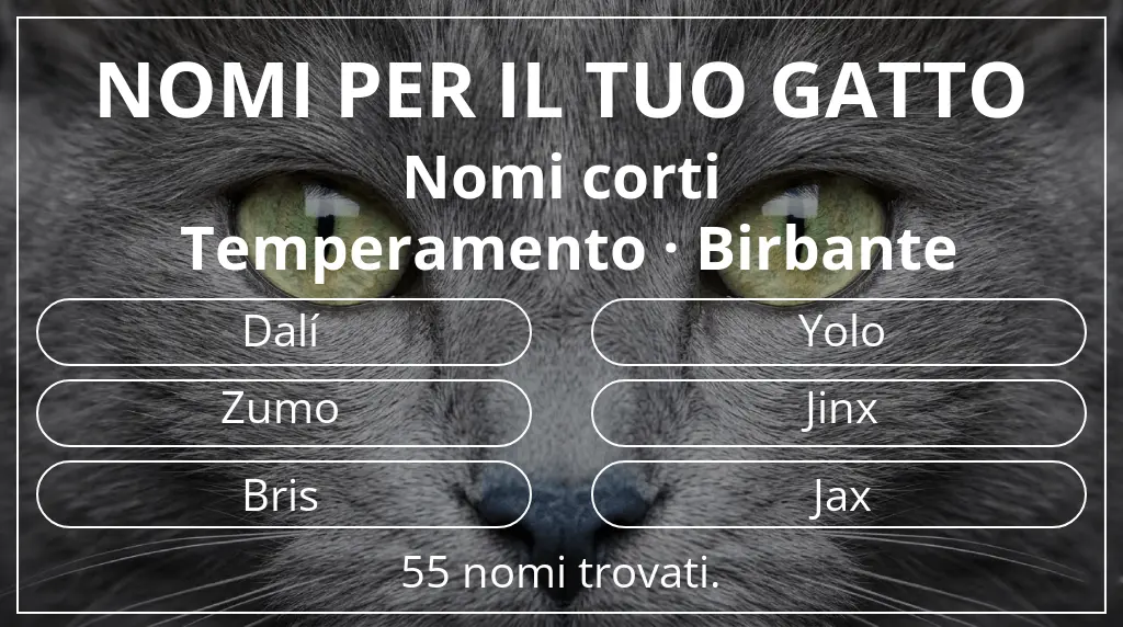 Nomi per gatti basati su lunghezza del nome breve (2–4) e temperamento birbante