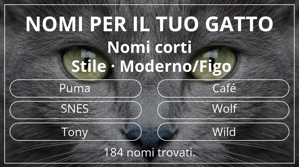 Nomi per gatti basati su lunghezza del nome breve (2–4) e stile moderno/figo