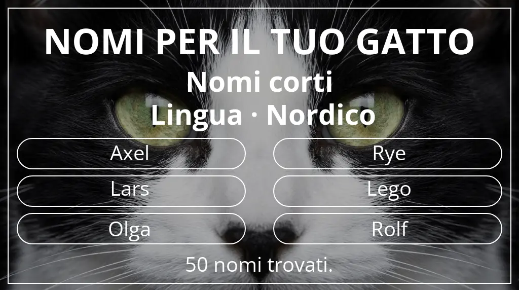 Nomi per il tuo gatto legati a lunghezza del nome breve (2–4) e lingua nordico
