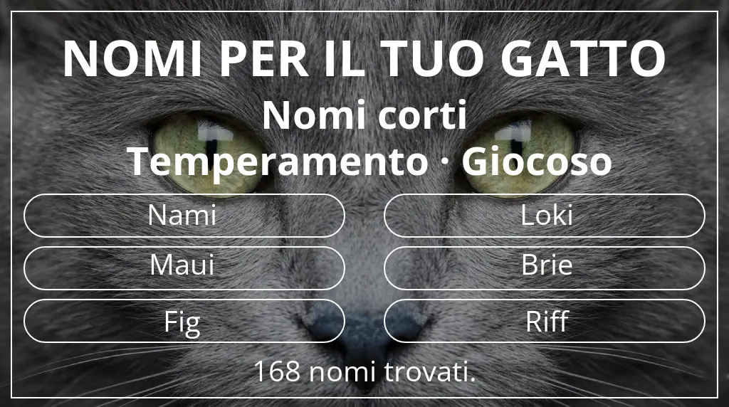 Nomi per gatti basati su lunghezza del nome breve (2–4) e temperamento giocoso