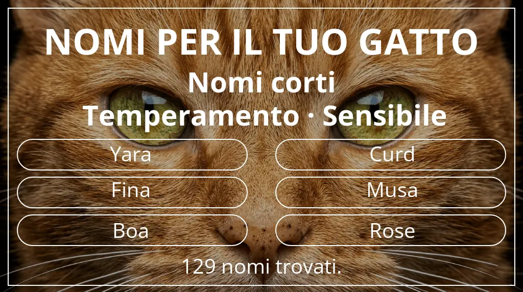 Nomi per il tuo gatto legati a lunghezza del nome breve (2–4) e temperamento sensibile