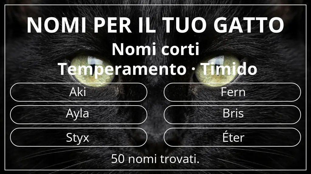 Nomi per il tuo gatto legati a lunghezza del nome breve (2–4) e temperamento timido