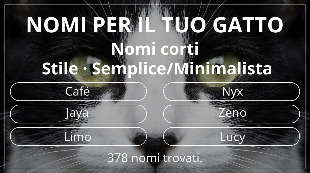 Nomi felini legati a lunghezza del nome breve (2–4) e stile semplice/minimalista