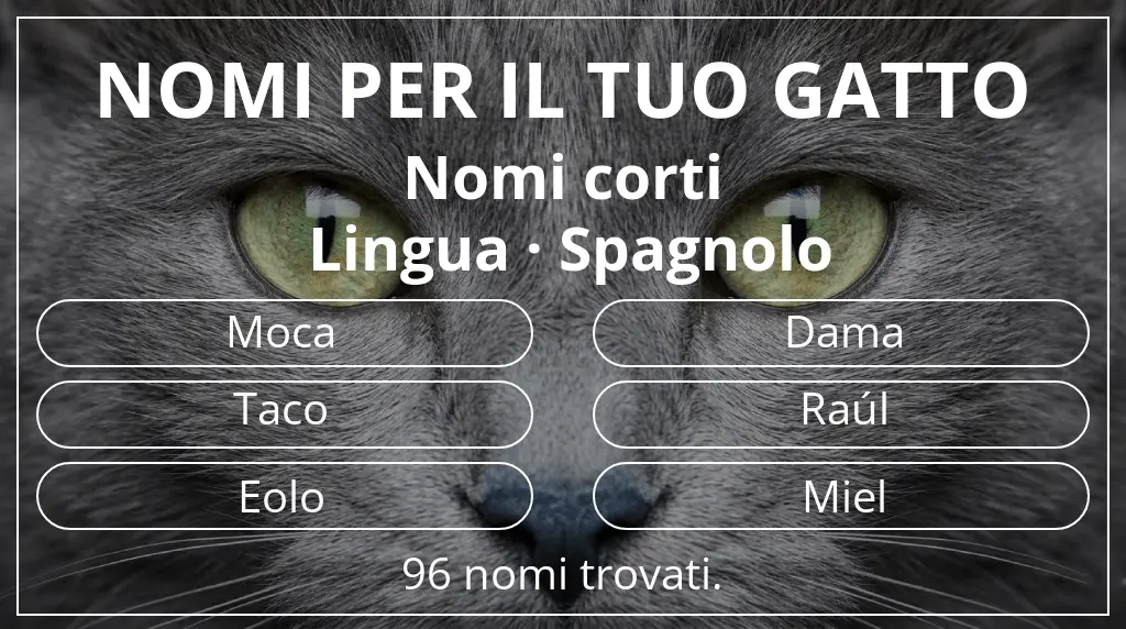 Nomi per il tuo gatto basati su lunghezza del nome breve (2–4) e lingua spagnolo