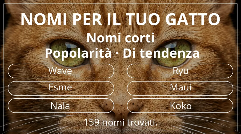 Nomi per gatti basati su lunghezza del nome breve (2–4) e popolarità di tendenza