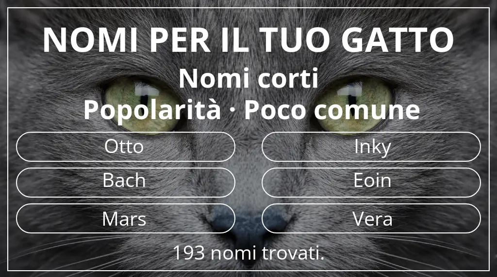 Nomi felini ispirati a lunghezza del nome breve (2–4) e popolarità poco comune