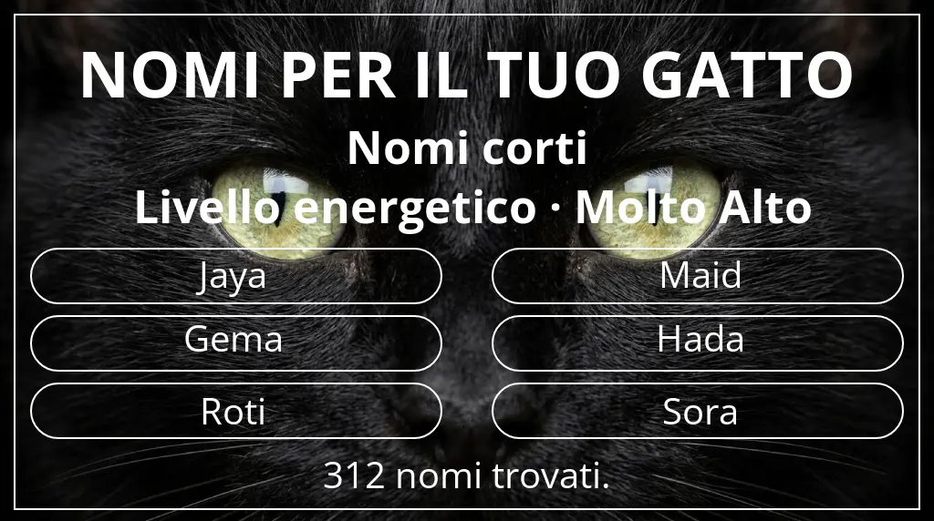 Nomi felini ispirati a lunghezza del nome breve (2–4) e livello energetico molto alto