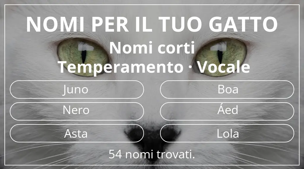 Nomi per gatti legati a lunghezza del nome breve (2–4) e temperamento vocale