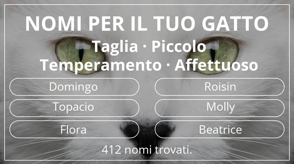 Nomi per il tuo gatto ispirati a taglia piccolo e temperamento affettuoso
