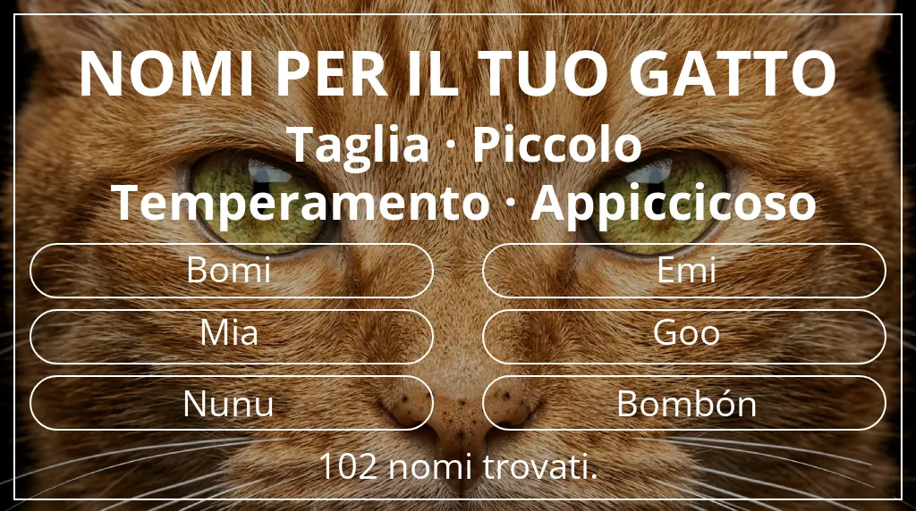 Nomi felini basati su taglia piccolo e temperamento appiccicoso