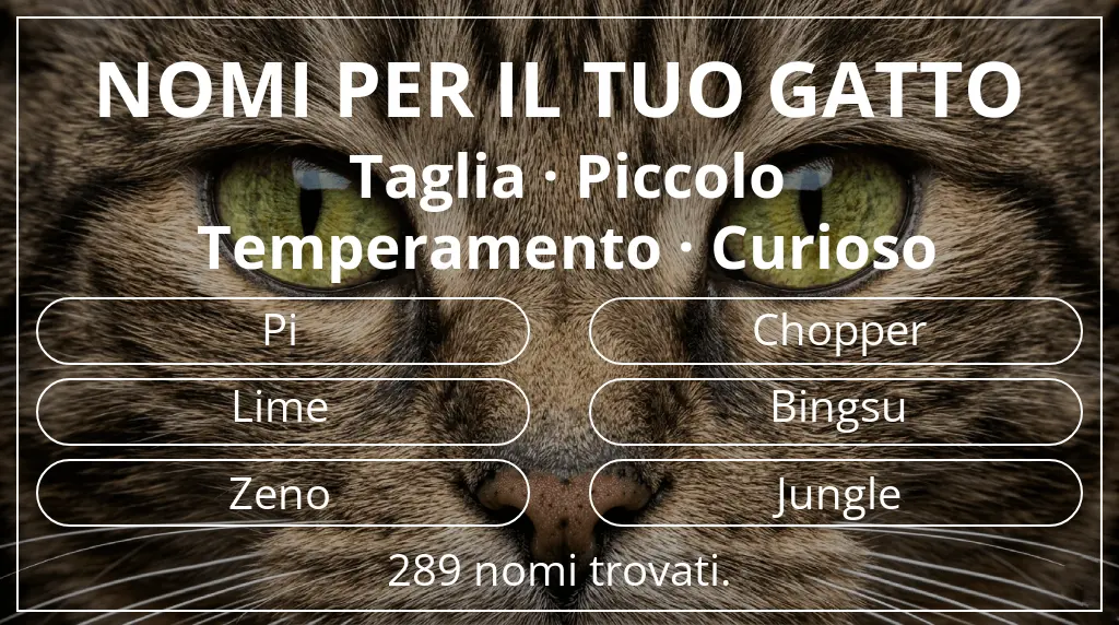 Nomi per gatti basati su taglia piccolo e temperamento curioso