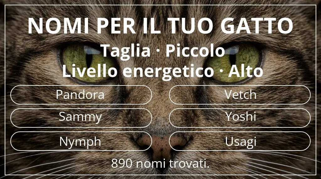 Nomi per il tuo gatto basati su taglia piccolo e livello energetico alto