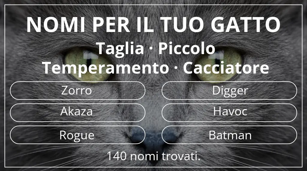 Nomi felini legati a taglia piccolo e temperamento cacciatore