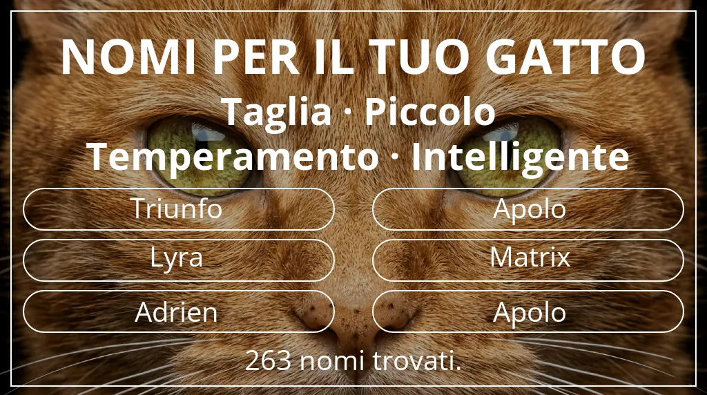 Nomi per gatti basati su taglia piccolo e temperamento intelligente