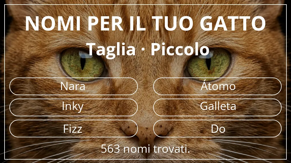 Nomi per gatti basati su taglia piccolo