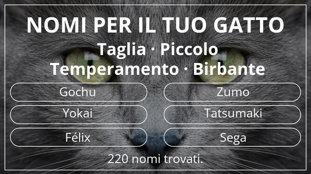 Nomi per gatti ispirati a taglia piccolo e temperamento birbante