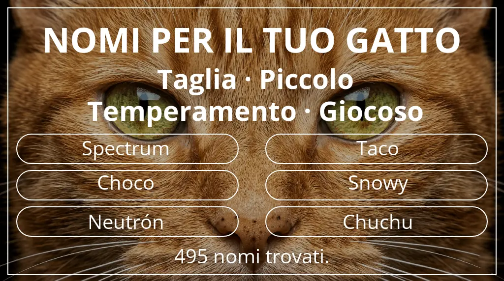 Nomi per il tuo gatto legati a taglia piccolo e temperamento giocoso