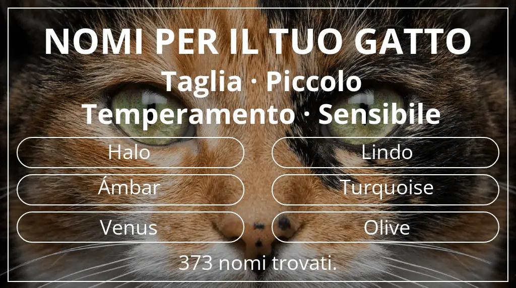 Nomi per il tuo gatto ispirati a taglia piccolo e temperamento sensibile