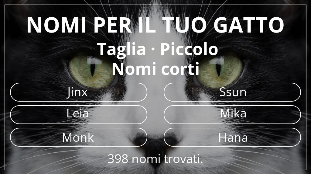 Nomi felini ispirati a taglia piccolo e lunghezza del nome breve (2–4)