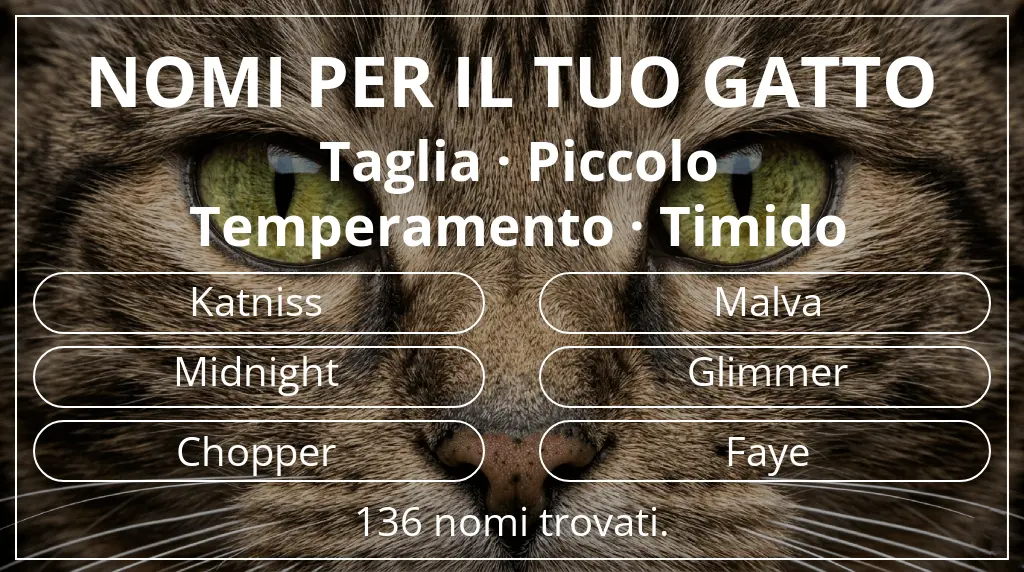 Nomi per il tuo gatto ispirati a taglia piccolo e temperamento timido