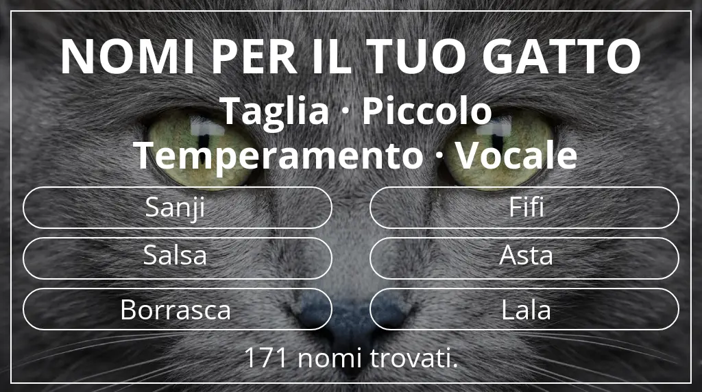 Nomi per il tuo gatto ispirati a taglia piccolo e temperamento vocale