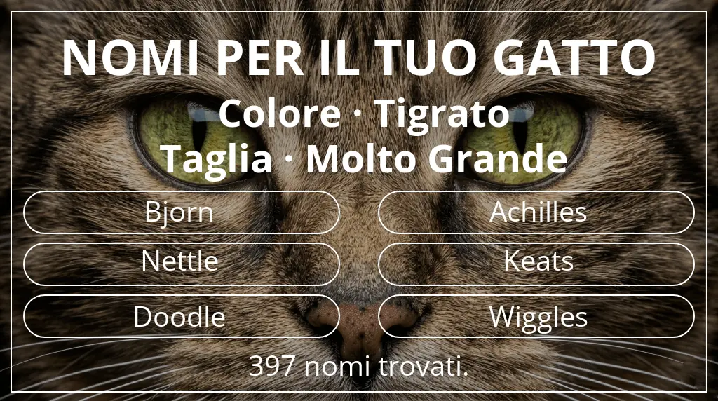 Nomi per il tuo gatto basati su colore tigrato e taglia molto grande