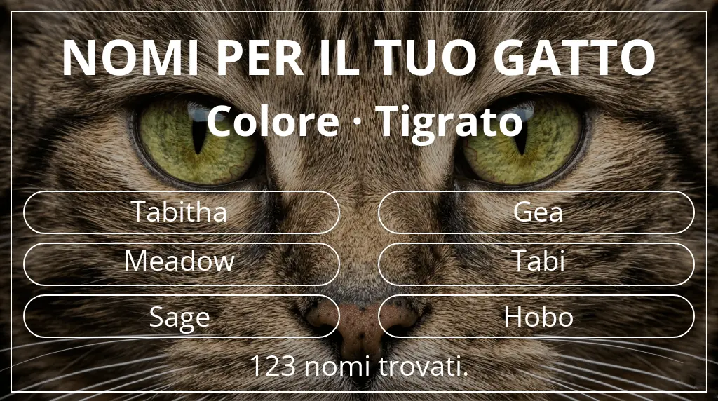 Nomi per il tuo gatto ispirati a colore tigrato