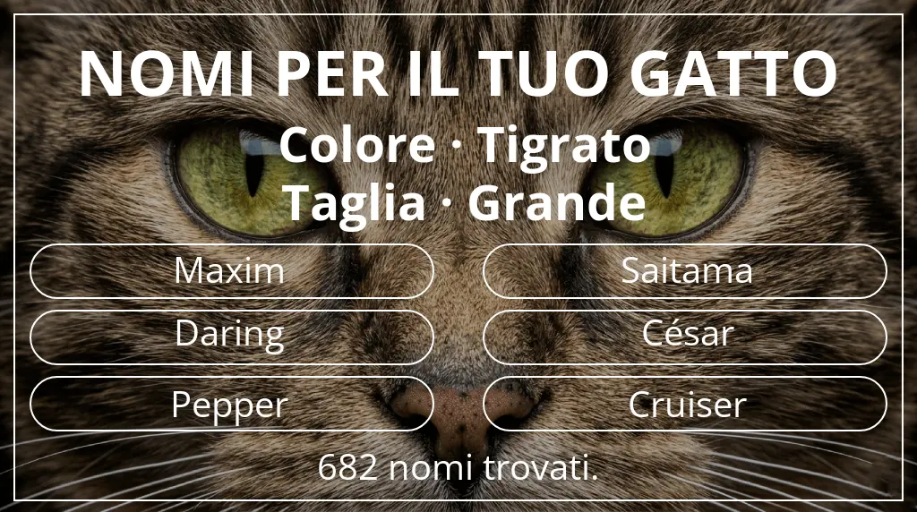 Nomi felini legati a colore tigrato e taglia grande