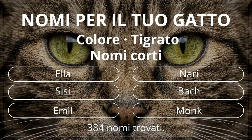 Nomi per il tuo gatto basati su colore tigrato e lunghezza del nome breve (2–4)