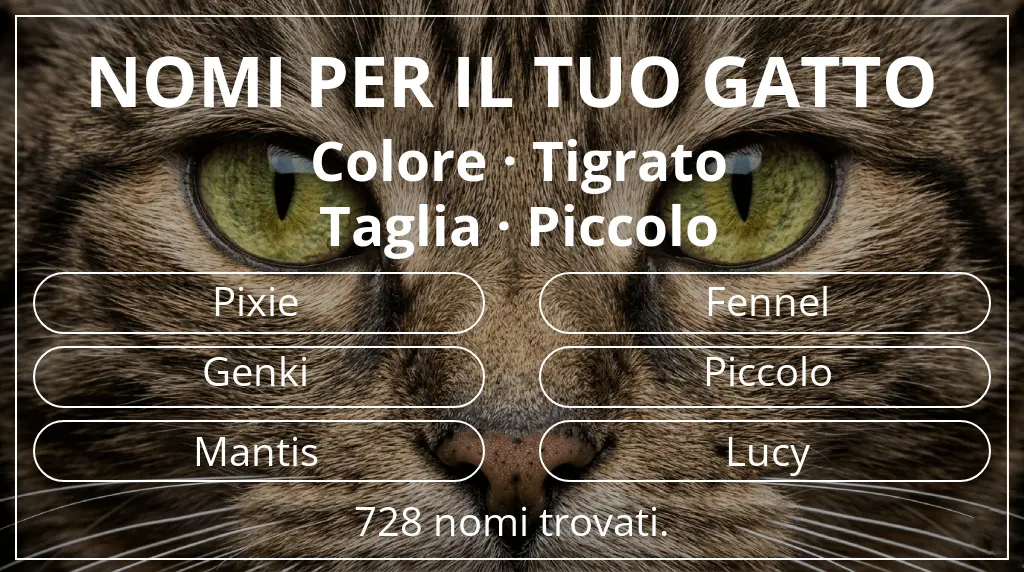 Nomi felini ispirati a colore tigrato e taglia piccolo