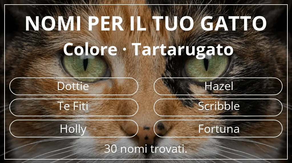 Nomi per il tuo gatto basati su colore tartarugato