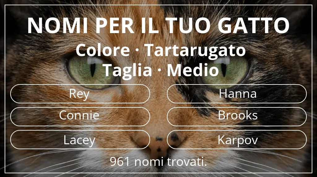 Nomi felini basati su colore tartarugato e taglia medio