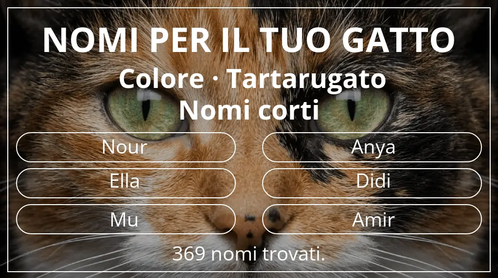 Nomi per il tuo gatto legati a colore tartarugato e lunghezza del nome breve (2–4)