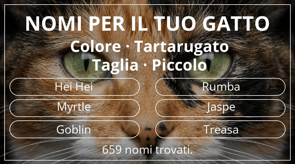 Nomi per il tuo gatto ispirati a colore tartarugato e taglia piccolo