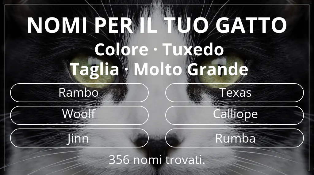 Nomi per il tuo gatto ispirati a colore tuxedo e taglia molto grande