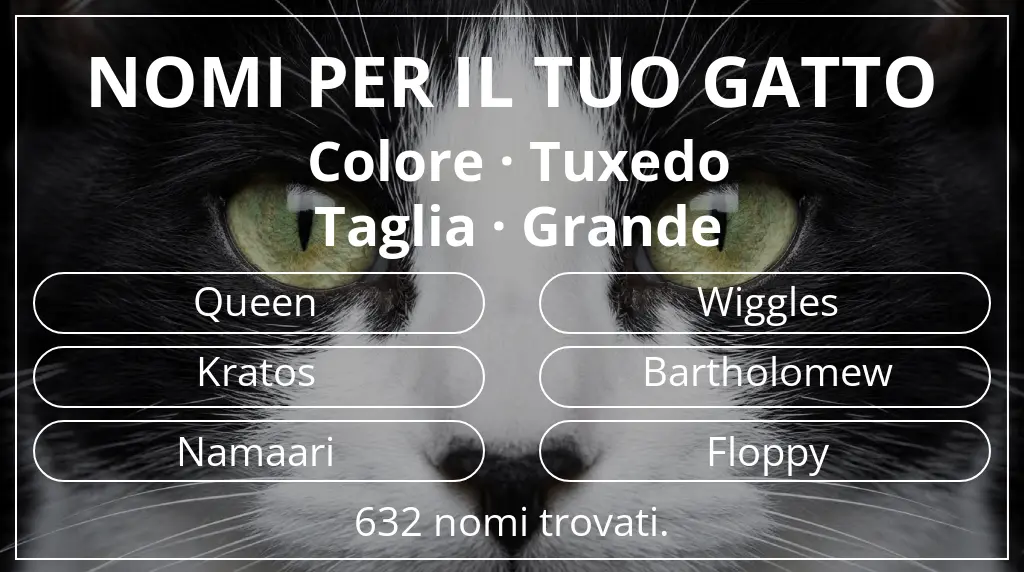 Nomi per il tuo gatto ispirati a colore tuxedo e taglia grande