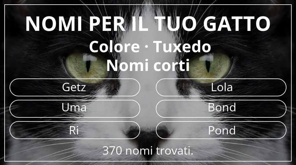 Nomi per il tuo gatto basati su colore tuxedo e lunghezza del nome breve (2–4)