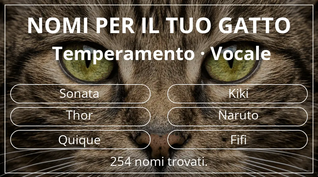 Nomi per il tuo gatto basati su temperamento vocale