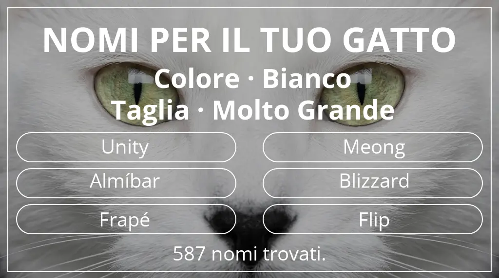 Nomi per gatti legati a colore bianco e taglia molto grande