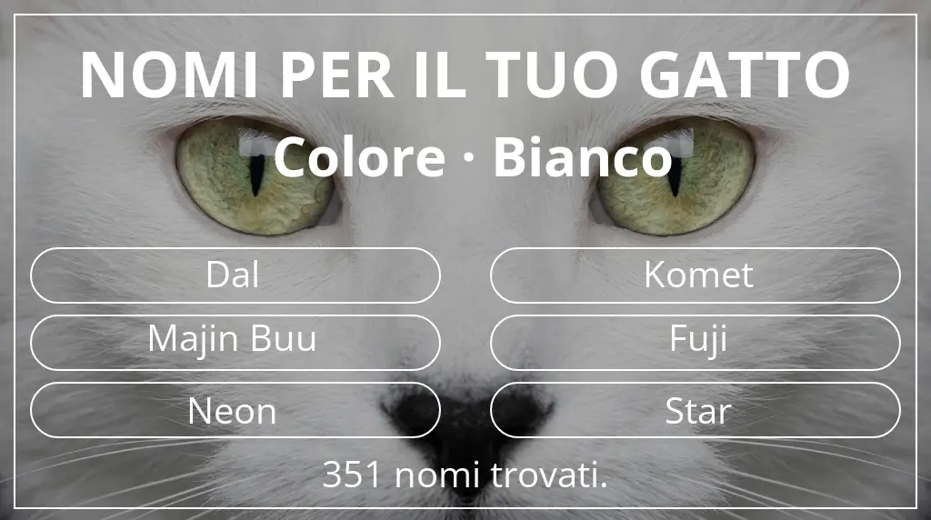 Nomi per il tuo gatto ispirati a colore bianco